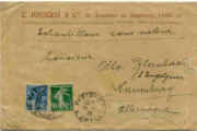 Echantillon . Jeanne 257.